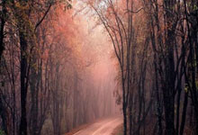 米尔顿凯恩斯痛失好局，球迷探讨主教练战术