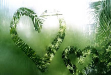 托利昂主场战胜对手，稳固积分榜位置