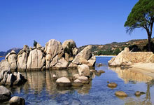 欧预赛热门球队备战,挑战来袭!